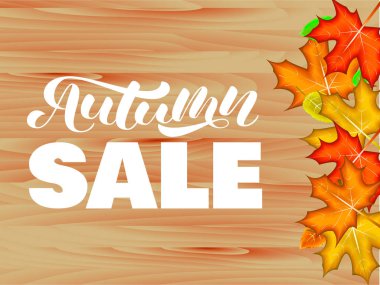 Sonbahar satış fırça yazı. Vektör Illustration banner için