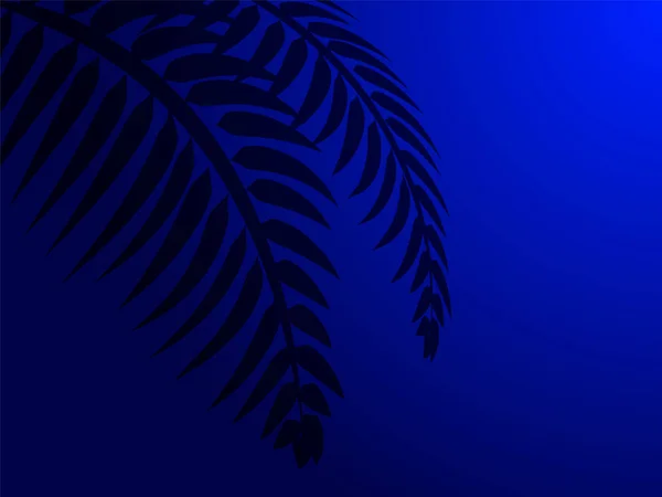 Sombra de una palmera. Ilustración vectorial para banner — Archivo Imágenes Vectoriales