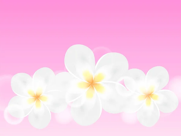 粉色背景上有三朵水仙花 供卡片或海报用的病媒存货图解 — 图库矢量图片