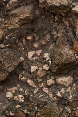 ıslak taş arka plan duvar. yağmur sonrası. taş doku