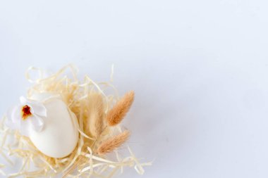 Paskalya yumurtası beyaz izole. Paskalya Paskalya yumurtası ile arka plan. Kopya alanı ile üstten görünüm.