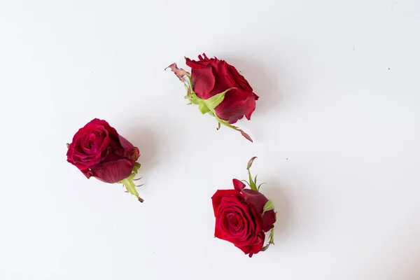 Red Beautiful Flowers Isolated White Букет Красных Роз Красные Розы — стоковое фото