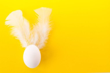 Paskalya yumurtası beyaz tüyleri ile. renkli Paskalya arka plan. Paskalya kartpostal