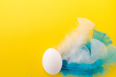 Paskalya yumurtası beyaz tüyleri ile. renkli Paskalya arka plan. Paskalya kartpostal