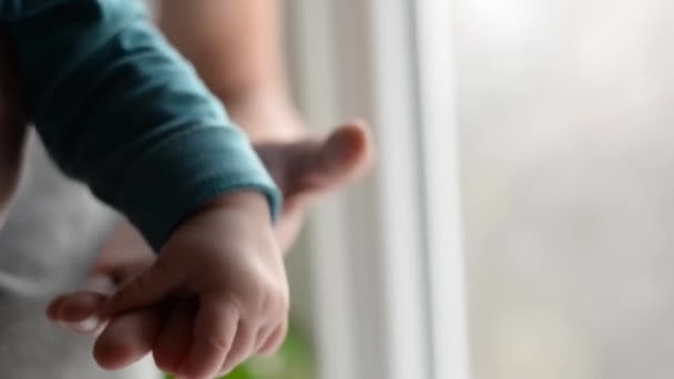 Tenir Main Remettre Bébé Dans Main Père Gros Plan Parents — Video