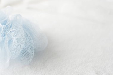 Mavi örgü duş sünger aka banyo puf, banyo Body Scrubber lif kabağı beyaz arka plan üzerinde. text.copy alanı için yer