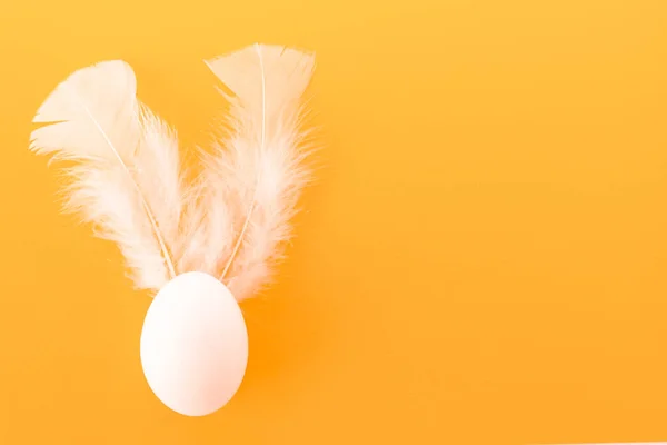 Easter egg with white feathers. colorful easter background
