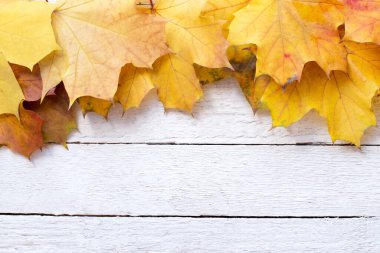 Tahta üzerinde renkli yapraklar olan sonbahar arkaplanı
