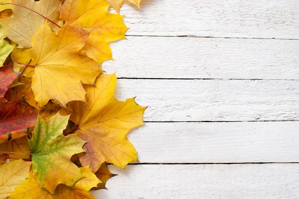 Yellow Maple Leaves Lies Een Witte Houten Achtergrond Perfecte Herfst — Stockfoto