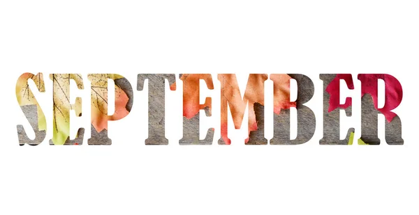 Wort September Aus Herbstbild Mit Ahornblättern Isoliert Auf Weißem Hintergrund — Stockfoto