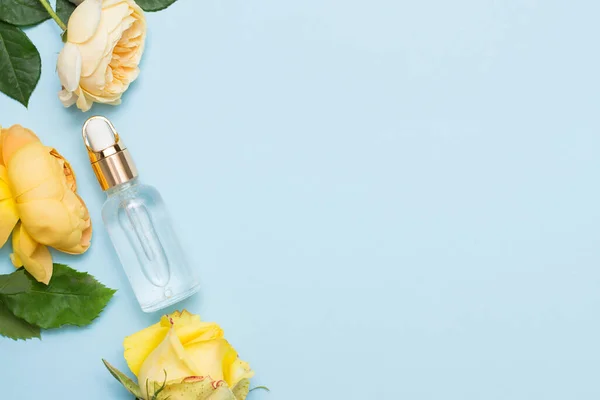 Natural cosmetic oil with yellow roses on blue background with a copy space