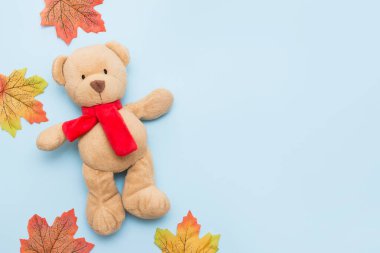 Mavi arka planda sonbahar yaprakları olan sevimli oyuncak ayı.