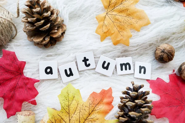 Het Woord Herfst Geschreven Met Houten Letters Droge Bladeren Witte — Stockfoto