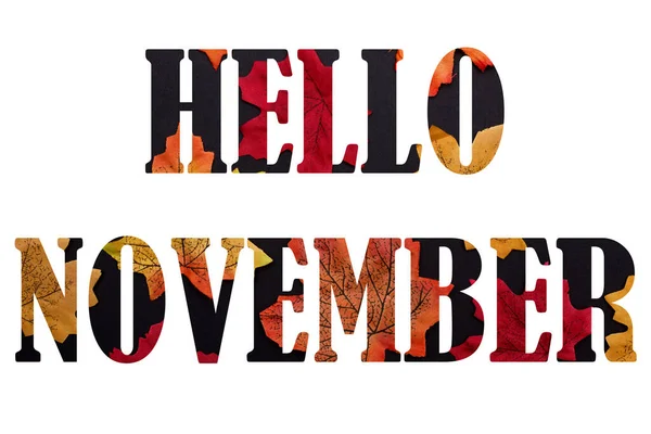 Hallo November Schriftzug Zeichen Aus Herbstblättern Isoliert Auf Weißem Hintergrund — Stockfoto
