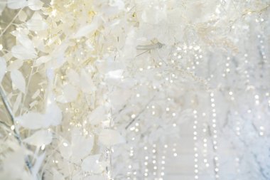 Kış beyaz ağaç dalı Bokeh arka planında ışıldıyor