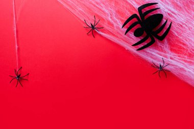 Cadılar Bayramı konsepti. Örümceklerle kırmızı arkaplan, boşluğu kopyala