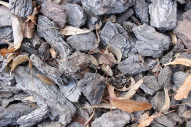 Ağaç kabuğu yakın kadar arka plan kesmek