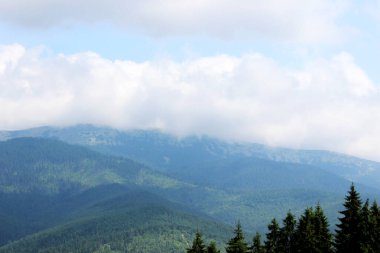 Beyaz bulutlarla kaplı Karpat Dağları.