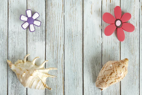 deniz kabuklarını ve ateşin üzerinde dekoratif çiçek üstten görünüm arka plan. ile boşaltmak