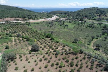 Cesme doa ve deniz fotoğrafçısı