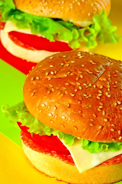 Hambúrguer Fundo Com Uma Cor Hambúrguer Minimalismo Alimentar Sanduíche Salame — Fotografia de Stock