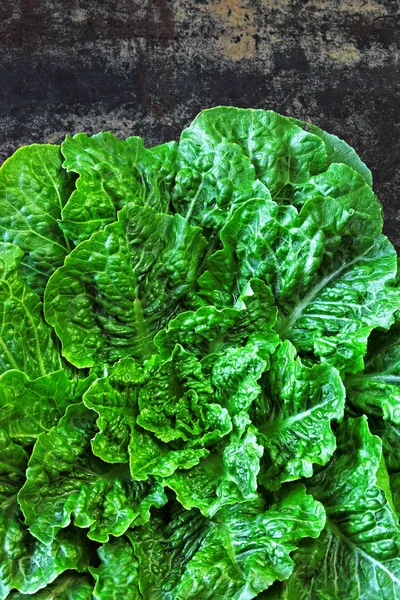 Fresh green romaine lettuce. Romain lettuce bunch on stylish shabby surface. Beautiful green bunch of lettuce on a loft style background.