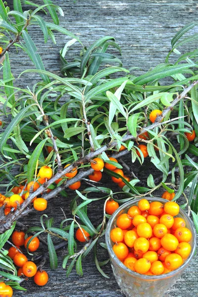 Beeren Und Blätter Des Sanddorns Auf Einem Hölzernen Hintergrund Die — Stockfoto