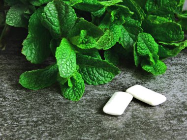 Taze nane yaprakları ve sakız pedleri.