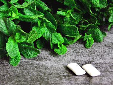 Taze nane yaprakları ve sakız pedleri.