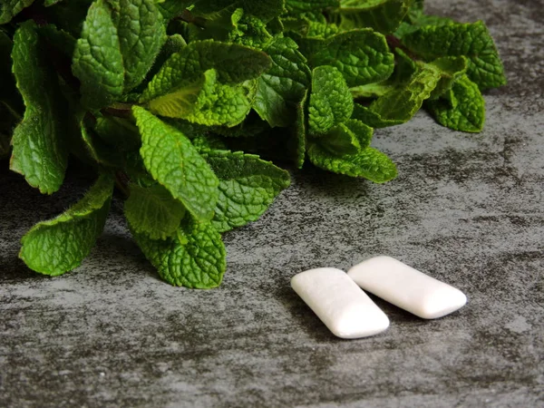 Taze nane yaprakları ve sakız pedleri.