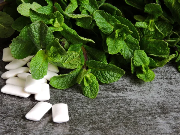 Fresh mint leaves and chewing gum pads.