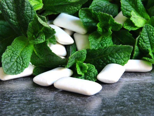 Fresh mint leaves and chewing gum pads.