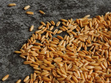 Bir avuç yulaf tanesi..