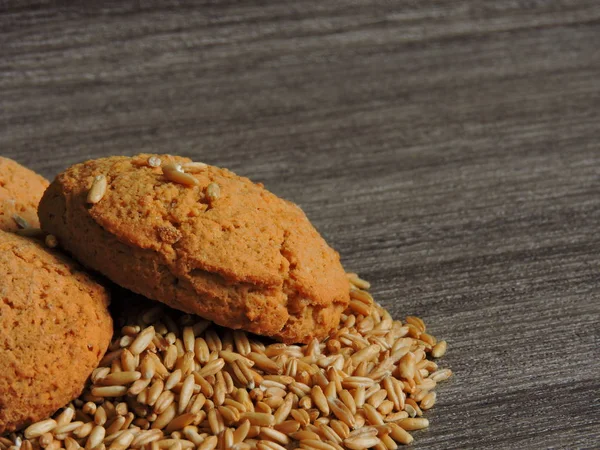 Oatmeal cookies filled with grains of oats. Nutrition for weight reduction. Grain of oats around cookie. Macro. Copy space.