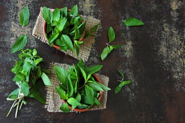 Kâselerdeki taze nane yaprakları. Boşluğu kopyala.