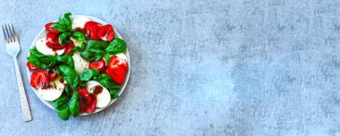 Çilekli ve mozarellalı yaz salatası. İtalyan Caprese salatası ve çilek..