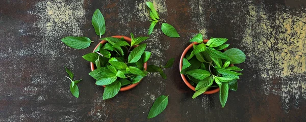 Daun Mint Segar Dalam Mangkuk Salin Ruang — Stok Foto