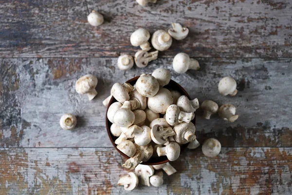 Φρέσκα Ωμά Champignons Ένα Μπολ — Φωτογραφία Αρχείου