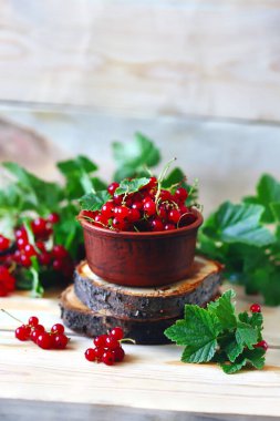 Seçici odaklanma. Bir kasede kırmızı frenk üzümü. Frenk üzümü yaprakları. Yaz taze meyveleri.