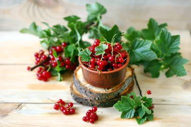 Seçici odaklanma. Bir kasede kırmızı frenk üzümü. Frenk üzümü yaprakları. Yaz taze meyveleri.