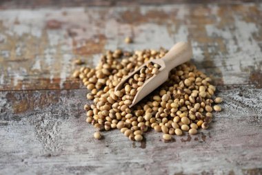 Tahta bir spatulada soya fasulyesi. Seçici odaklanma. Makro.