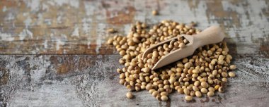 Tahta bir spatulada soya fasulyesi. Seçici odaklanma. Makro.