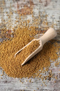 Hardal taneleri. Hardal Tohumu Vegan konsepti. Sağlıklı beslenme. Seçici odaklanma. Makro.