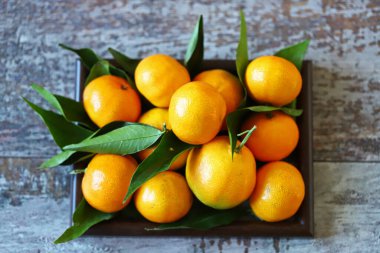 Taze mandalina. Mandalina yaprakları. Vitamin sitrusları.