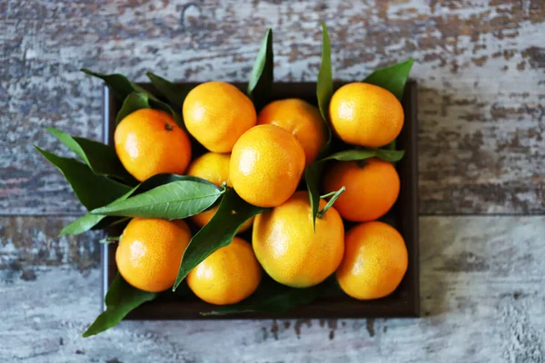 Frische Mandarinen Mandarinenblätter Vitamine Zitrusfrüchte — Stockfoto