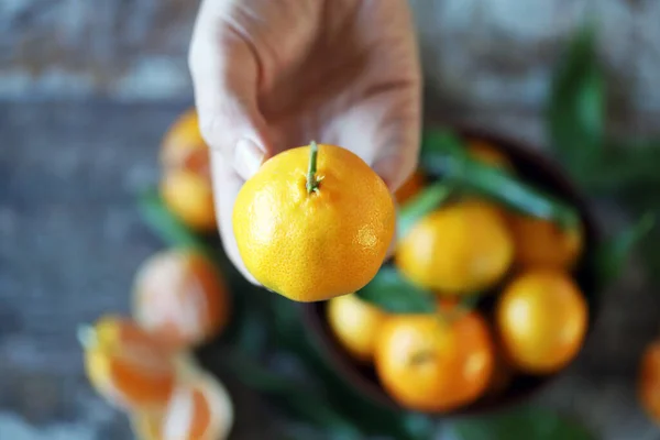 Hand Hält Mandarine Reife Mandarinen Mit Blättern Selektiver Fokus — Stockfoto