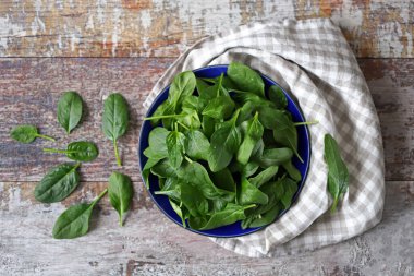 Taze ıspanak. Mavi bir tabakta ıspanak yaprakları yıkadım. Diyet kavramı.