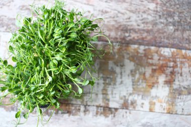 Tencerede mikro yeşiller. Yeşil bezelye filizi. Süper yemek..