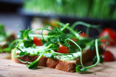 CBD gıda konsepti. CBD yağı ve mikroyeşillikli tost. Yiyeceğe kenevir yağı katılmış. Sağlıklı yiyecekler.