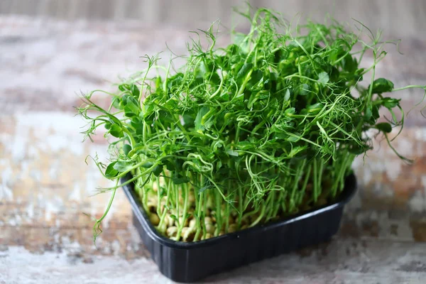 Kavanozda sulu yeşil bezelye filizi. Mikroyeşil.